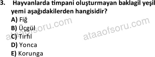 ata laborantvet 1962 3