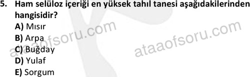 ata laborantvet 1962 5