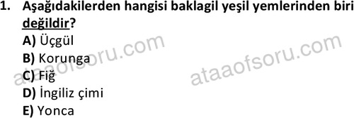 ata laborantvet 1962 1