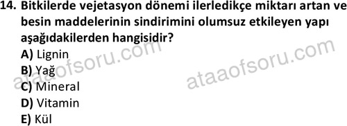 ata laborantvet 1962 14