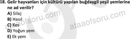 ata laborantvet 1962 18