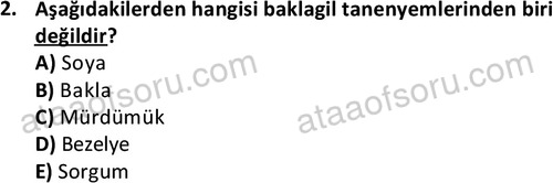 ata laborantvet 1962 2