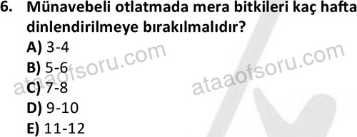 ata laborantvet 1962 6