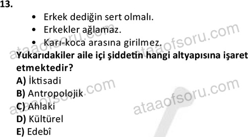 ata ozelguvenlikvekoruma 2034 13