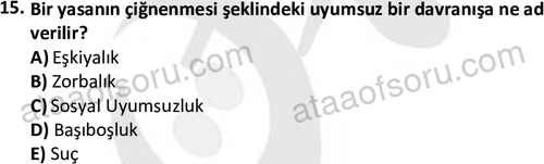 ata ozelguvenlikvekoruma 2034 15