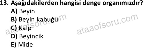 ata ozelguvenlikvekoruma 2046 13