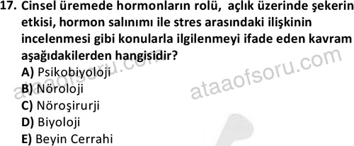 ata ozelguvenlikvekoruma 2046 17
