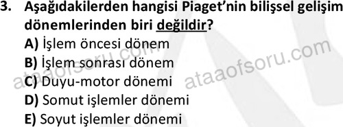 ata ozelguvenlikvekoruma 2046 3