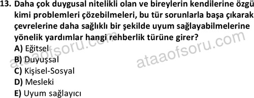 ata ozelguvenlikvekoruma 2046 13