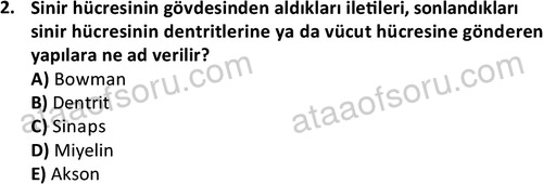 ata ozelguvenlikvekoruma 2046 2