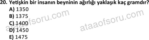 ata ozelguvenlikvekoruma 2046 20