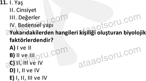ata ozelguvenlikvekoruma 2046 11