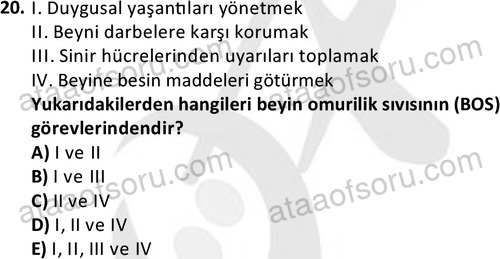 ata ozelguvenlikvekoruma 2046 20