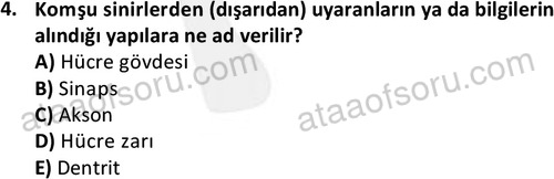ata ozelguvenlikvekoruma 2046 4