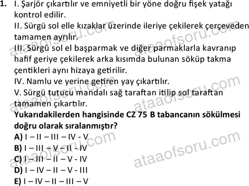 ata ozelguvenlikvekoruma 2047 1