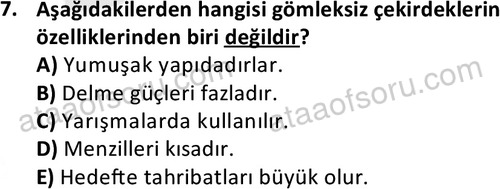 ata ozelguvenlikvekoruma 2047 7