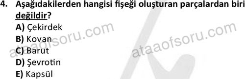 ata ozelguvenlikvekoruma 2047 4