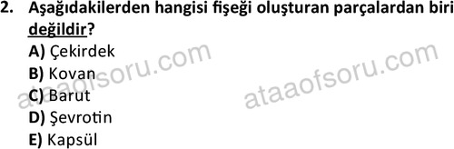 ata ozelguvenlikvekoruma 2047 2