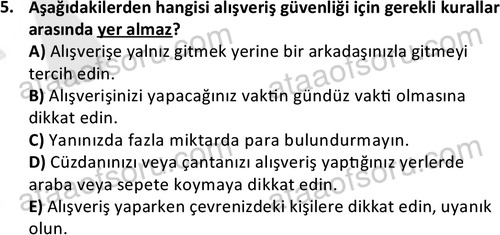 ata ozelguvenlikvekoruma 2045 5