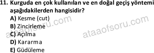 ata radyotelevizyon 2070 11