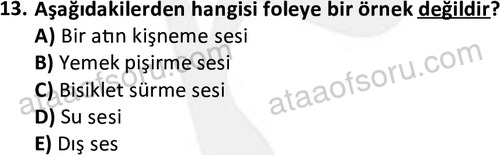 ata radyotelevizyon 2070 13