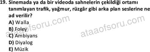 ata radyotelevizyon 2070 19