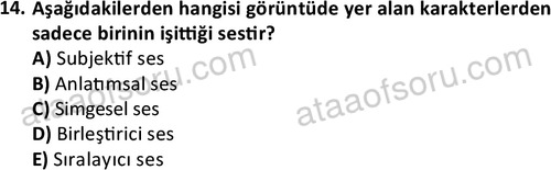 ata radyotelevizyon 2070 14