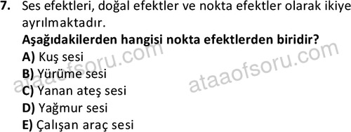 ata radyotelevizyon 2070 7