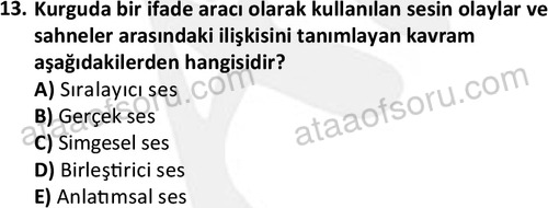 ata radyotelevizyon 2070 13