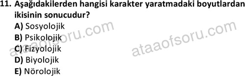 ata radyotelevizyon 2072 11