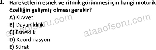 ata rekreasyon 2167 1