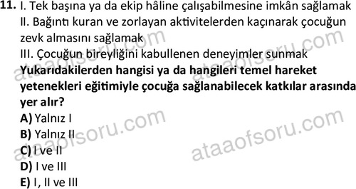 ata rekreasyon 2167 11