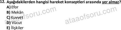 ata rekreasyon 2167 12