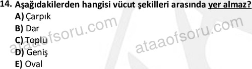 ata rekreasyon 2167 14