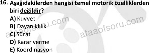 ata rekreasyon 2167 16