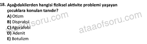 ata rekreasyon 2167 18