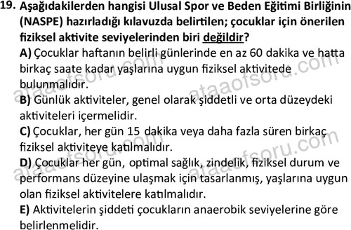 ata rekreasyon 2167 19