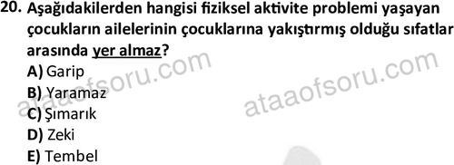 ata rekreasyon 2167 20