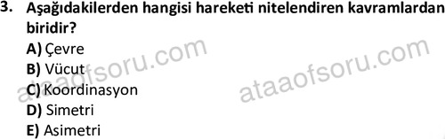 ata rekreasyon 2167 3
