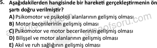 ata rekreasyon 2167 5