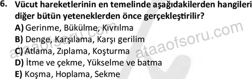 ata rekreasyon 2167 6