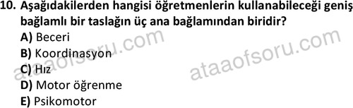 ata rekreasyon 2167 10