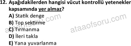 ata rekreasyon 2167 12