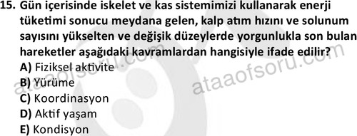 ata rekreasyon 2167 15