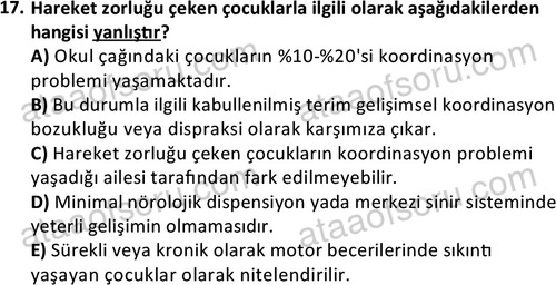 ata rekreasyon 2167 17