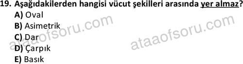 ata rekreasyon 2167 19
