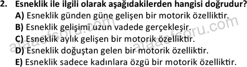 ata rekreasyon 2167 2