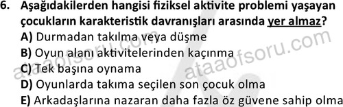 ata rekreasyon 2167 6