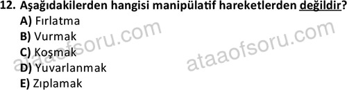 ata rekreasyon 2167 12