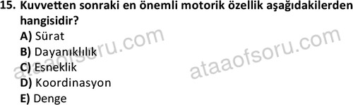 ata rekreasyon 2167 15